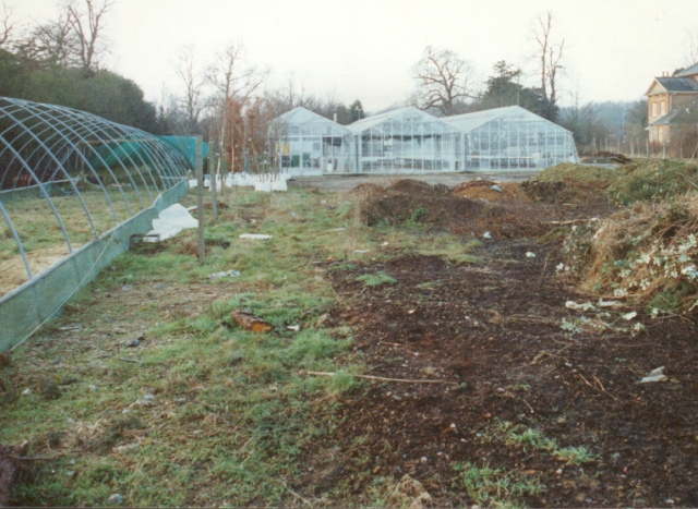 greenhouse and polytunnel under construction